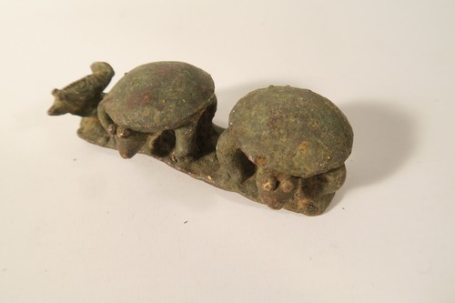 Alte altar schildkröten bobo - alte,