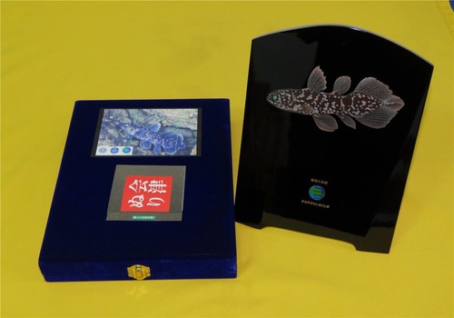 Staatsgeschenk japan - staatsgeschenk,